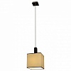 Подвесной светильник Arte Lamp Quadro A4402SP-1BK