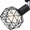 Спот Arte Lamp 6141 A6141PL-1BK