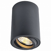 Накладной светильник Arte Lamp 1560 A1560PL-1BK