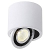 Накладной светильник Donolux DL18700 DL18700/11WW-White Dim