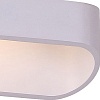 Накладной светильник ST-Luce Mensola SL582.101.01