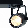 Спот Arte Lamp Lente A1310PL-2BK