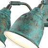 Бра Arte Lamp Campana A9557AP-2BG