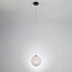 Подвесной светильник Eurosvet Globe 70069/1 хpoм/чepный