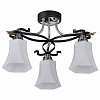 Потолочная люстра IDLamp 849 849/3PF-Dark