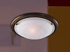 Настенно-потолочный светильник Sonex GLASS 216
