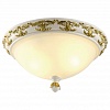 Накладной светильник Arte Lamp Benessere A9570PL-2WG