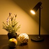 Настольная лампа офисная Elektrostandard Joel a048900