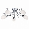 Потолочная люстра Arte Lamp Gardenia A2766PL-5CC