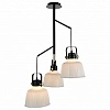 Подвесная люстра ST-Luce SL714 SL714.443.03