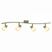 Спот Arte Lamp Parry A5062PL-4AB