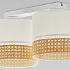 Накладной светильник TK Lighting Paglia 6692 Paglia