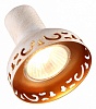 Спот Arte Lamp Focus A5219PL-3WG