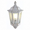 Накладной светильник Arte Lamp Portico 3 A1809AL-1WG