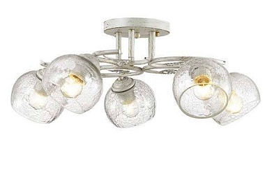 Потолочная люстра Lumion Clodina 3116/5C