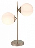 Настольная лампа декоративная ST-Luce Redjino SLE106204-02