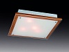 Настенно-потолочный светильник Sonex FEROLA 3242