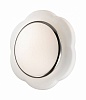 Накладной светильник Odeon Light Baha 2403/2C