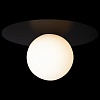 Накладной светильник Loft it Ufo 10120/250C Black