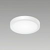 Накладной светильник Citilux Бейсик CL738120N