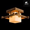 Накладной светильник Arte Lamp Woods A8252PL-1BR