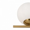 Настольная лампа декоративная Freya Blossom FR5259TL-01BS