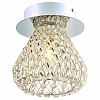 Накладной светильник Arte Lamp Adamello A9466PL-1CC