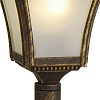 Наземный высокий светильник TopLight Willa TL1170O-01BG