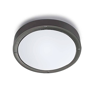 Настенно-потолочный светильник LEDS C4 Basic 15-9835-Z5-CM
