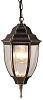 Подвесной светильник Arte Lamp Pegasus A3151SO-1BN